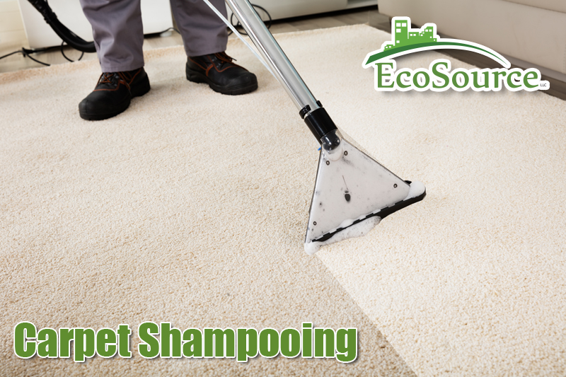 Carpet Shampooing with Ecosource