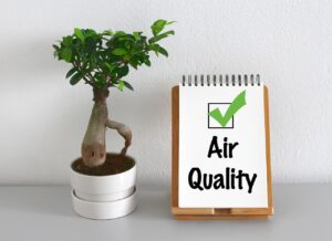 Air Quality Plants