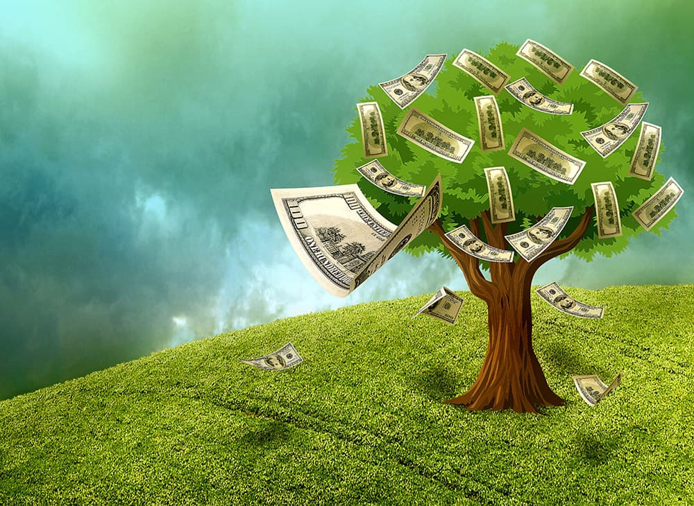 Tree Shedding Money
