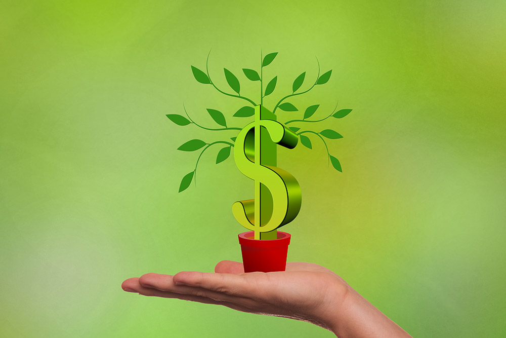 Hand holding a pot with a plant coming out of it in the shape of a dollar sign