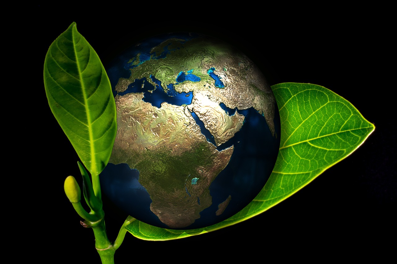 Earth sitting inside of a plant leaf