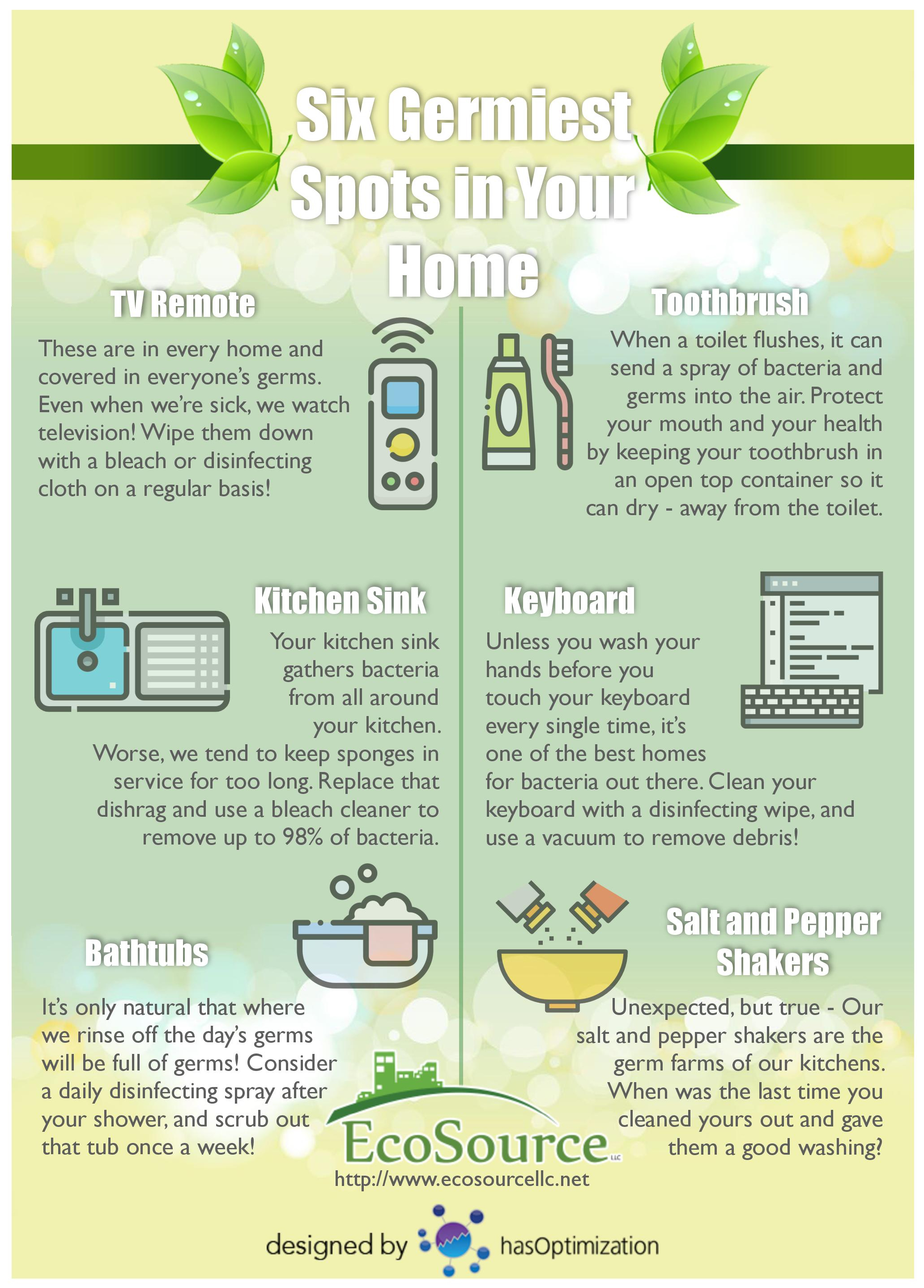 Infographic: The Six Germiest Spots in Your Home