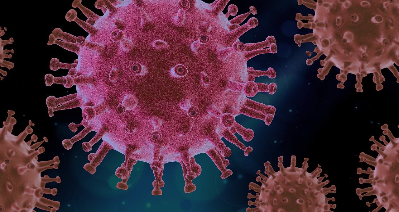 Pink coronavirus virus