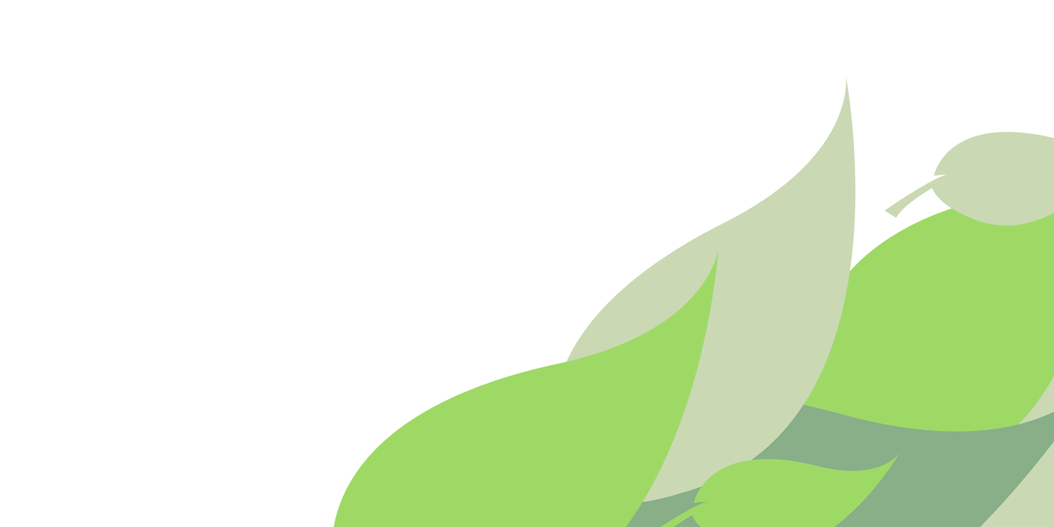 An assortment of green leaf shapes